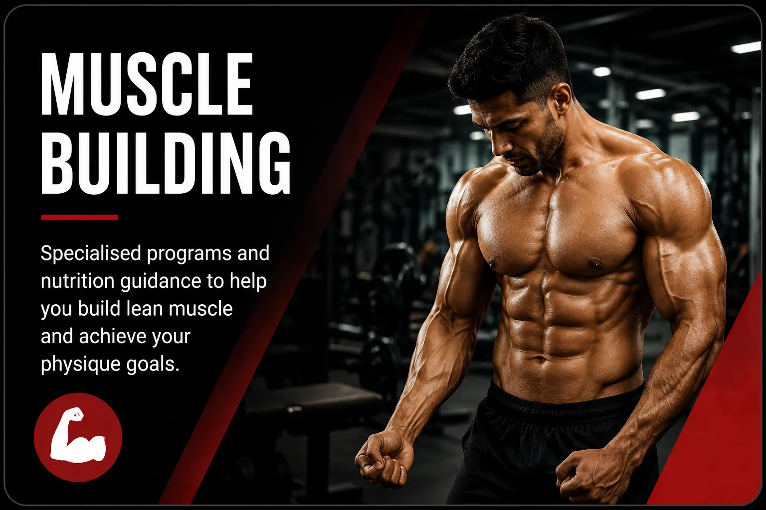 Muscle Building